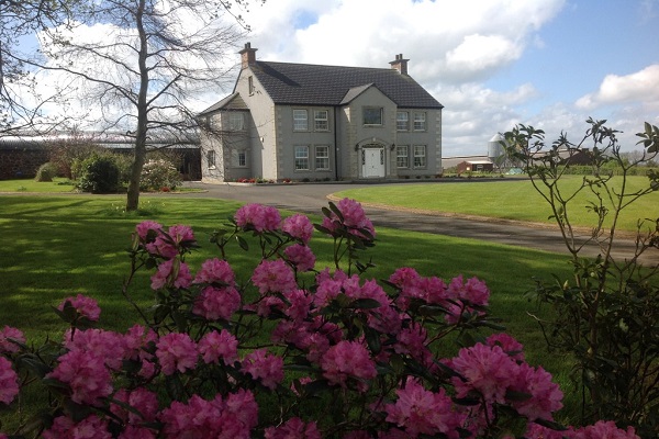 Guest Houses and Bed & Breakfast